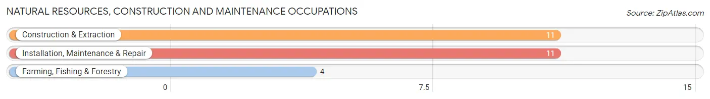 Natural Resources, Construction and Maintenance Occupations in Manley