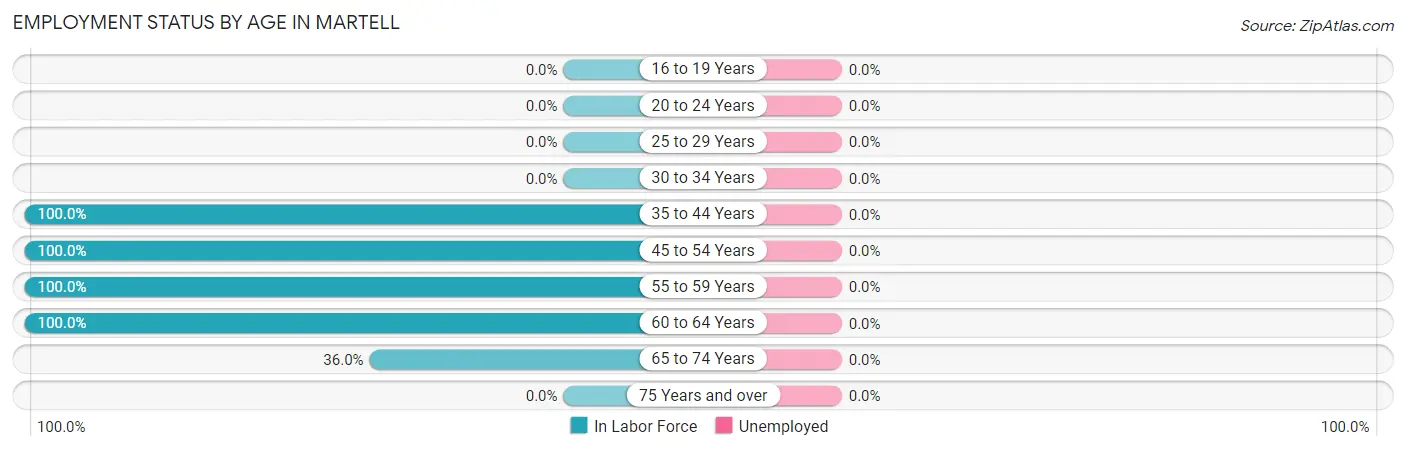Employment Status by Age in Martell