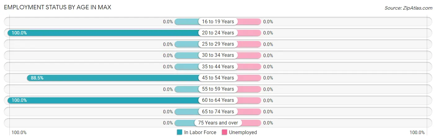Employment Status by Age in Max