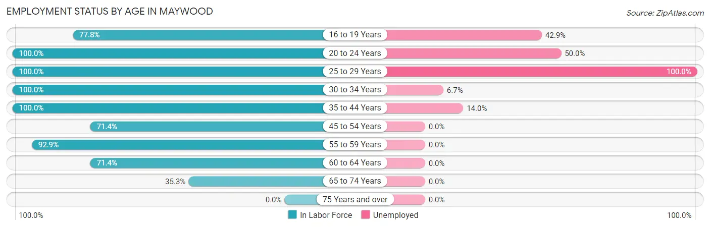 Employment Status by Age in Maywood
