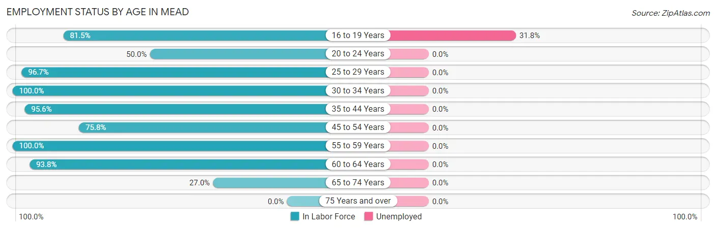 Employment Status by Age in Mead
