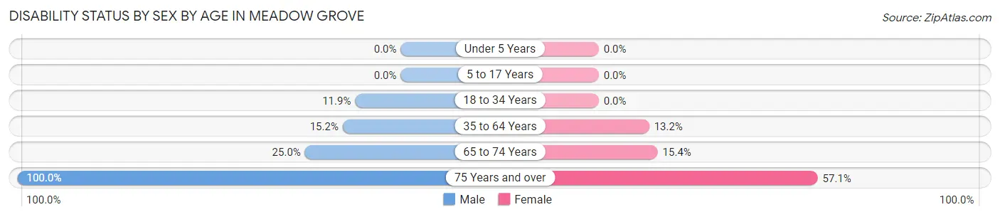 Disability Status by Sex by Age in Meadow Grove