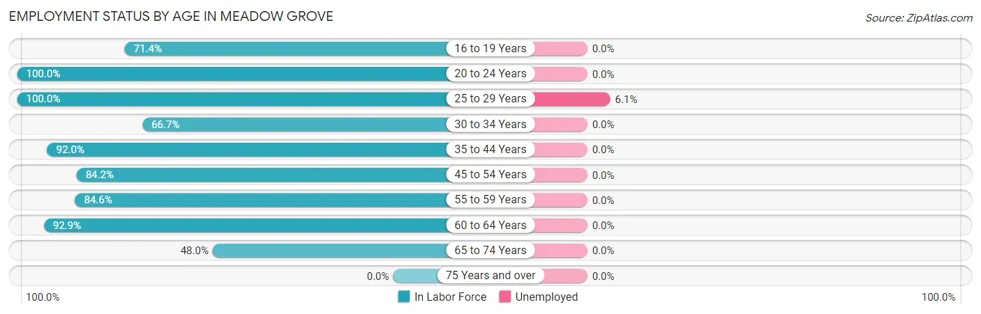 Employment Status by Age in Meadow Grove