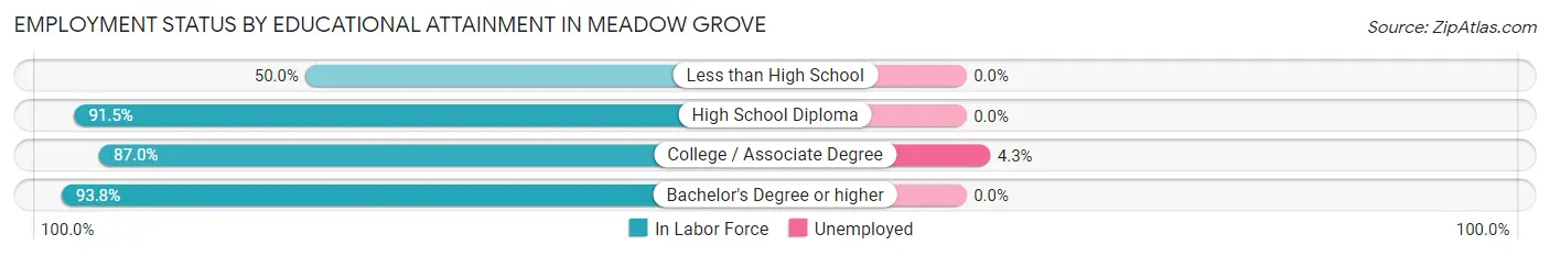 Employment Status by Educational Attainment in Meadow Grove