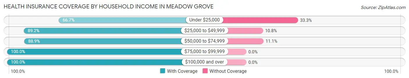 Health Insurance Coverage by Household Income in Meadow Grove