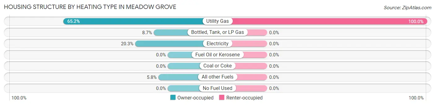 Housing Structure by Heating Type in Meadow Grove