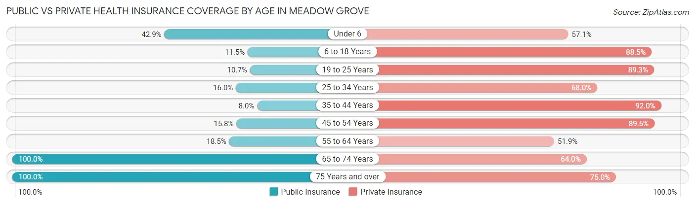 Public vs Private Health Insurance Coverage by Age in Meadow Grove