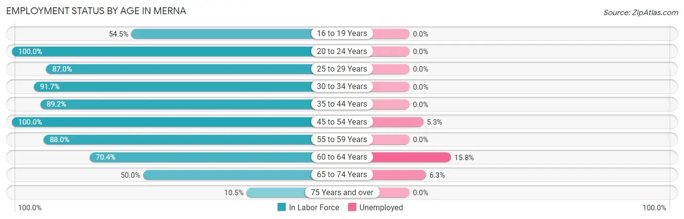 Employment Status by Age in Merna