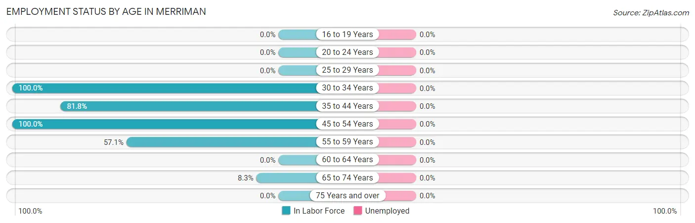 Employment Status by Age in Merriman