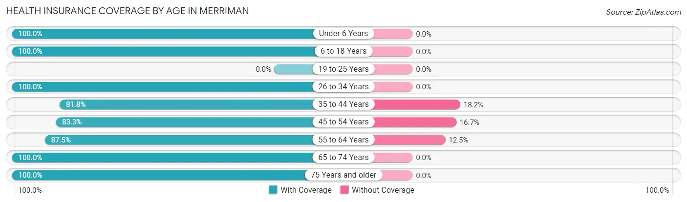 Health Insurance Coverage by Age in Merriman