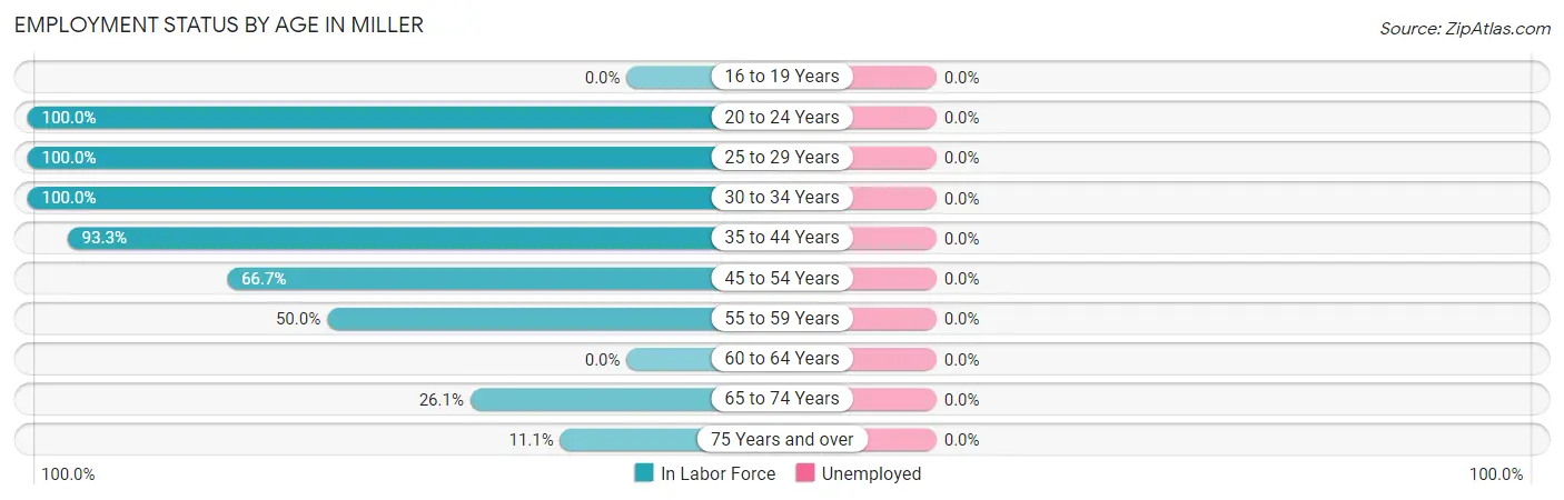 Employment Status by Age in Miller