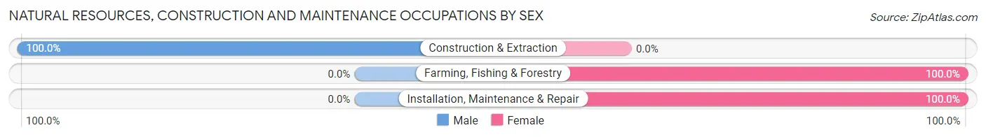 Natural Resources, Construction and Maintenance Occupations by Sex in Milligan