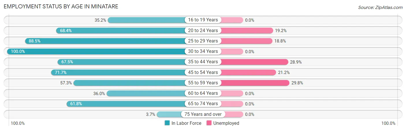 Employment Status by Age in Minatare