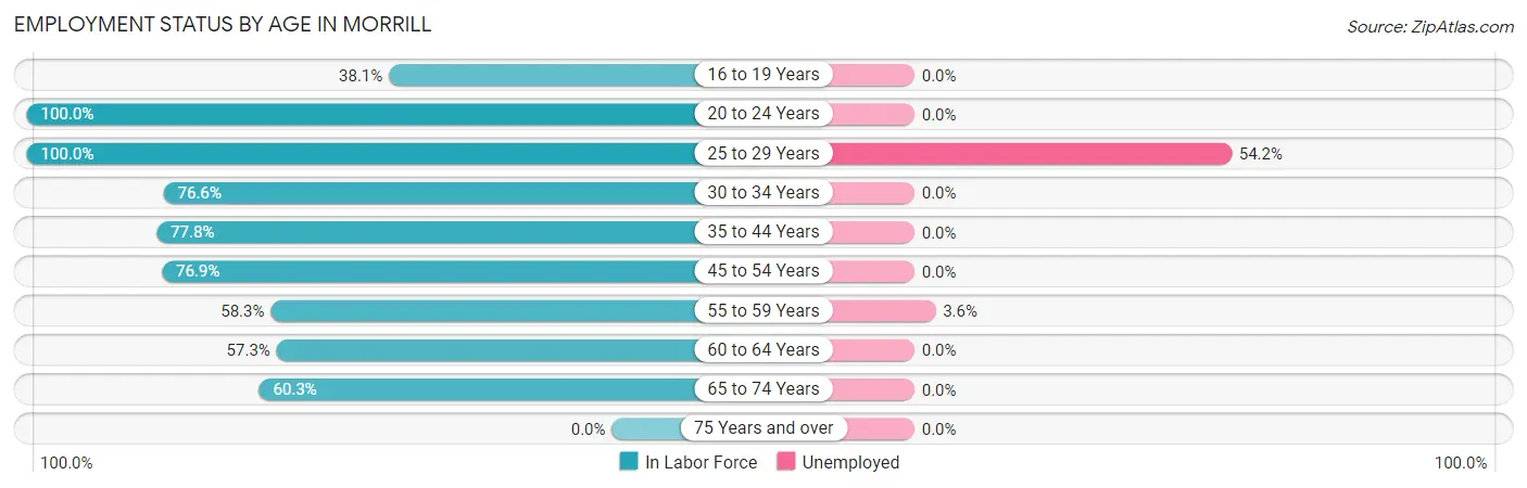 Employment Status by Age in Morrill