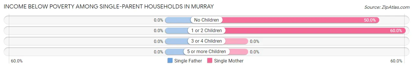 Income Below Poverty Among Single-Parent Households in Murray