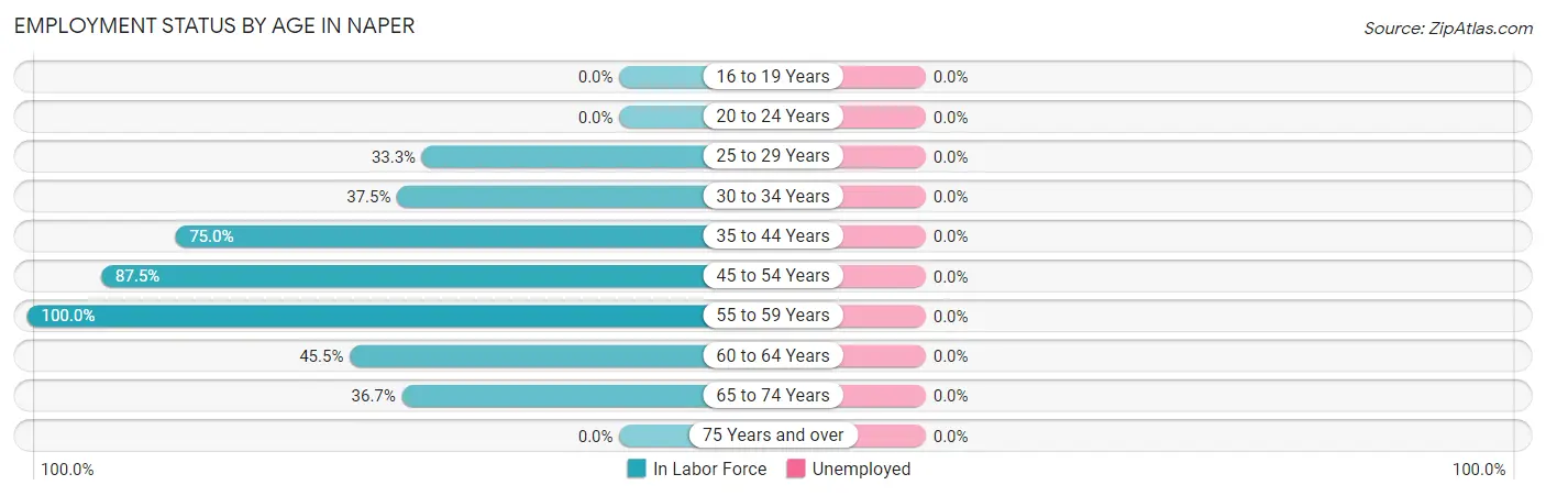 Employment Status by Age in Naper