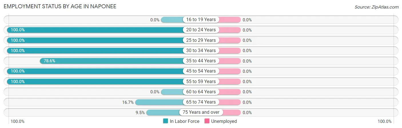 Employment Status by Age in Naponee