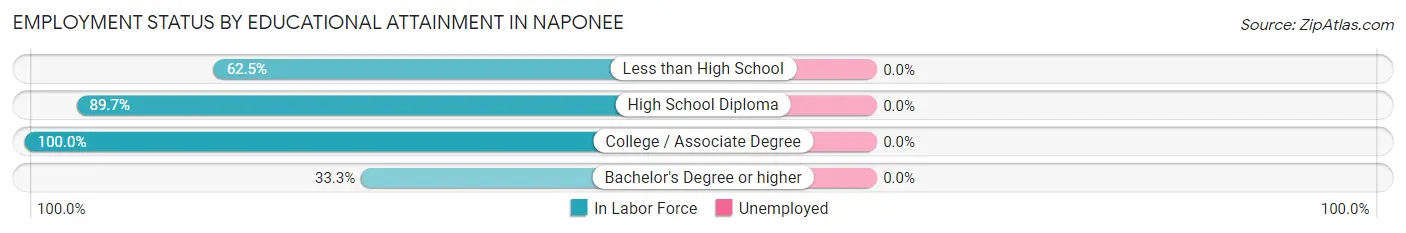 Employment Status by Educational Attainment in Naponee