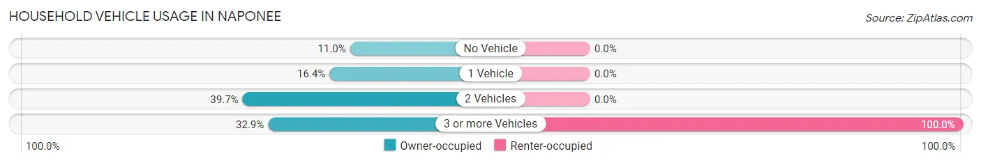 Household Vehicle Usage in Naponee