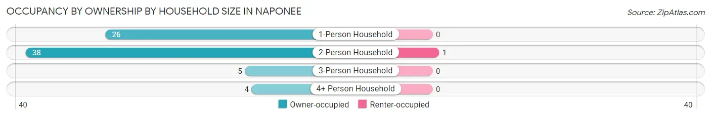 Occupancy by Ownership by Household Size in Naponee