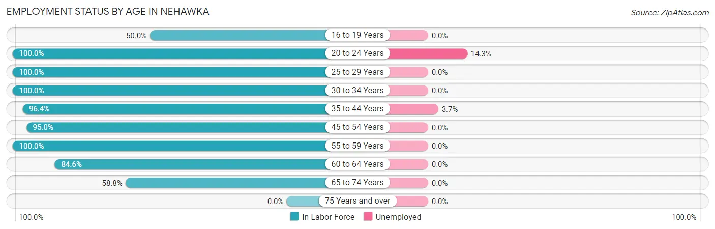 Employment Status by Age in Nehawka