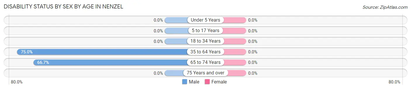 Disability Status by Sex by Age in Nenzel