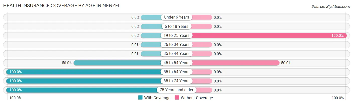 Health Insurance Coverage by Age in Nenzel