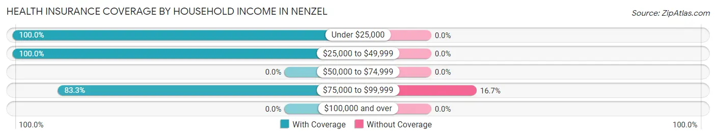 Health Insurance Coverage by Household Income in Nenzel