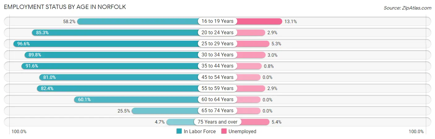 Employment Status by Age in Norfolk
