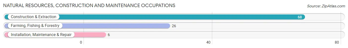 Natural Resources, Construction and Maintenance Occupations in Overton