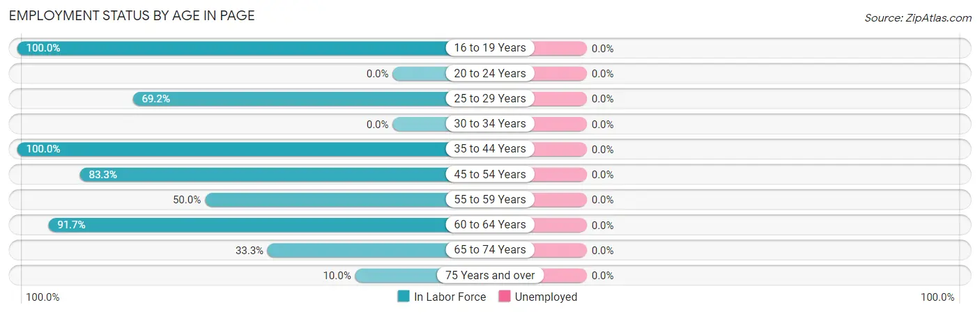 Employment Status by Age in Page