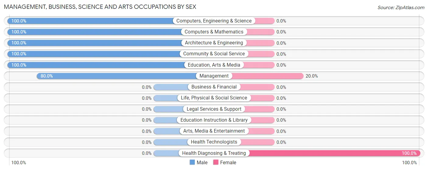 Management, Business, Science and Arts Occupations by Sex in Page