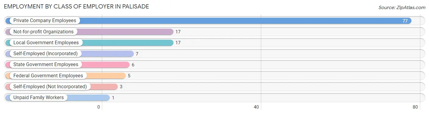 Employment by Class of Employer in Palisade