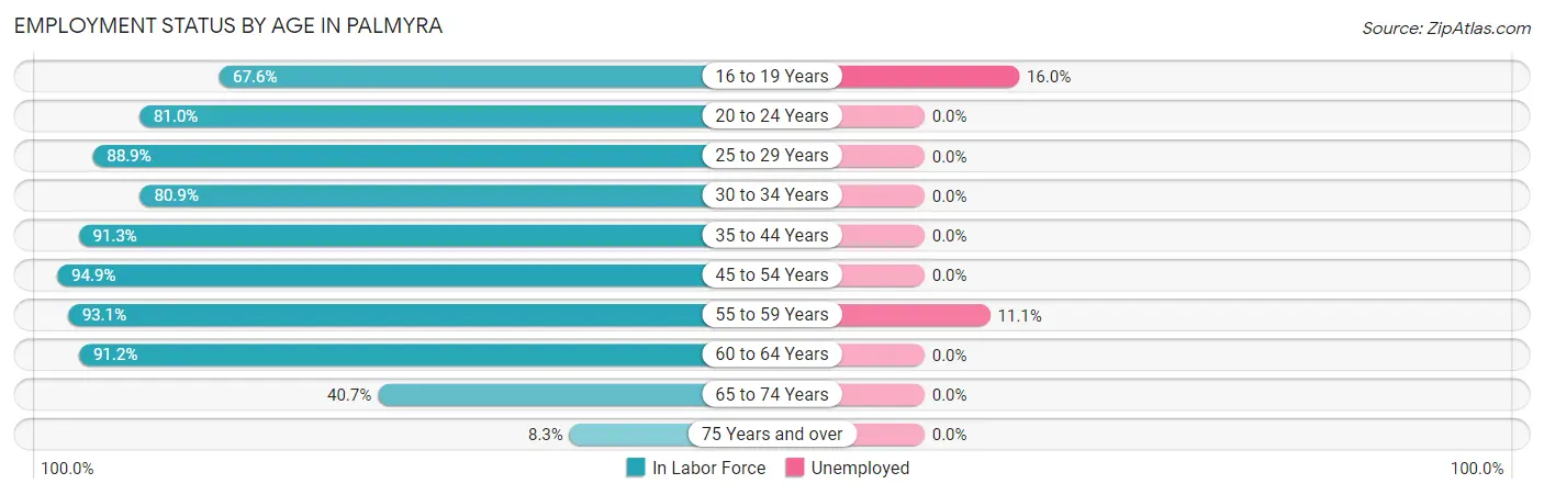 Employment Status by Age in Palmyra