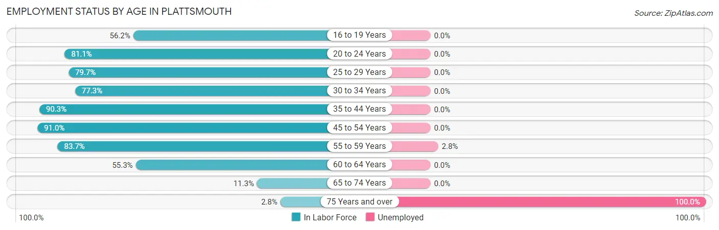 Employment Status by Age in Plattsmouth