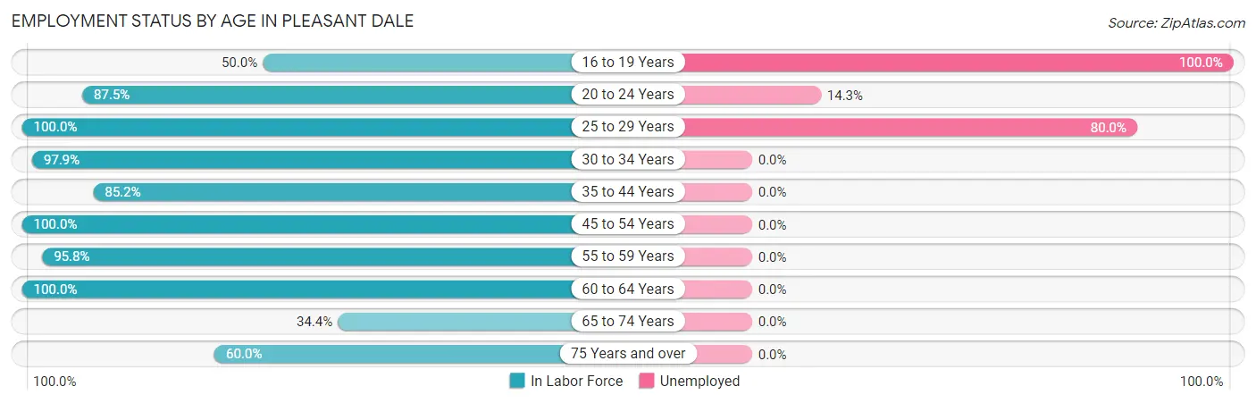 Employment Status by Age in Pleasant Dale