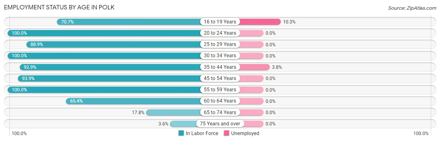 Employment Status by Age in Polk