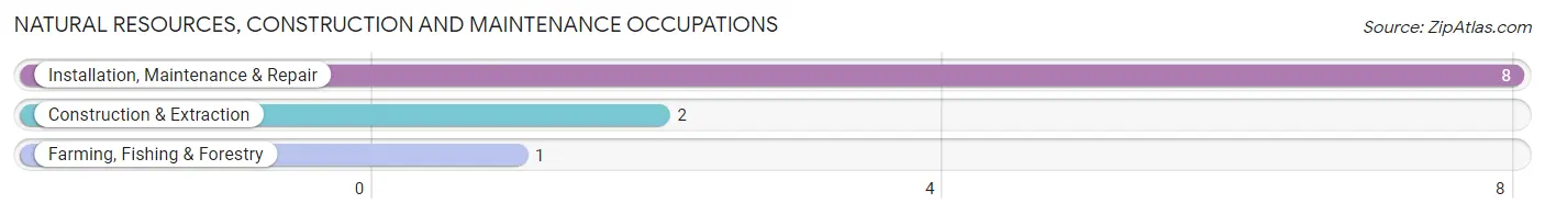 Natural Resources, Construction and Maintenance Occupations in Republican City