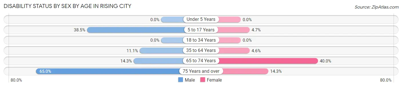 Disability Status by Sex by Age in Rising City