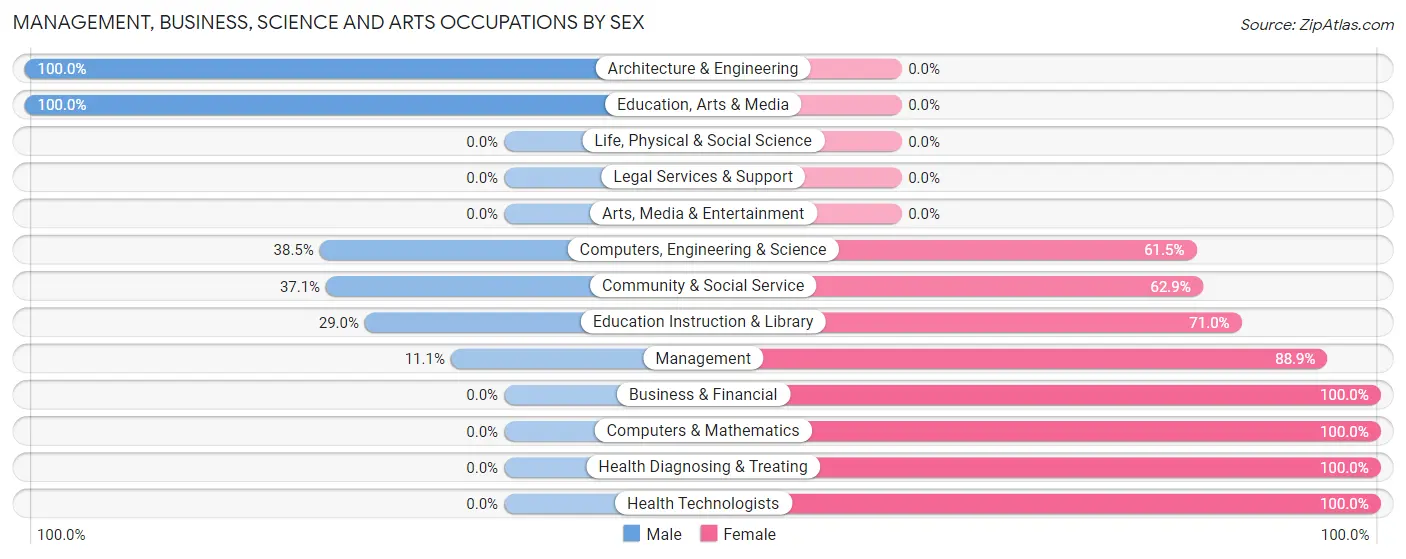 Management, Business, Science and Arts Occupations by Sex in Rising City