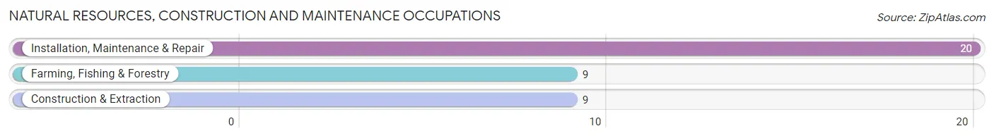 Natural Resources, Construction and Maintenance Occupations in Rising City