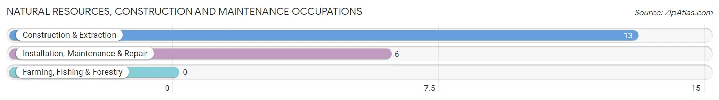 Natural Resources, Construction and Maintenance Occupations in Riverdale