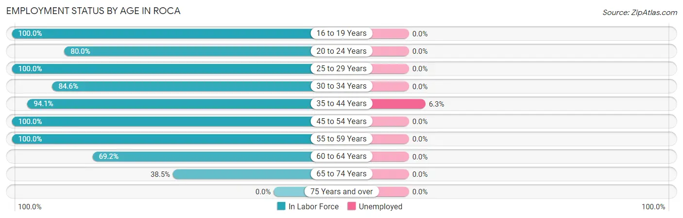 Employment Status by Age in Roca