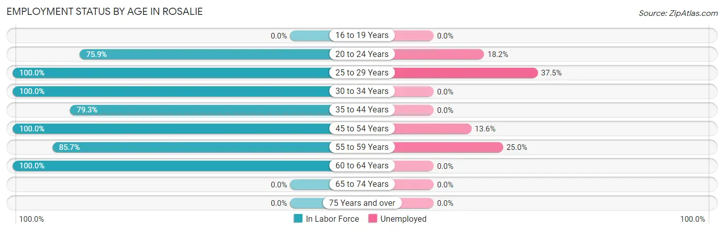 Employment Status by Age in Rosalie