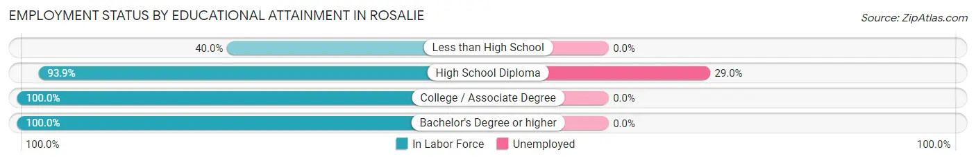 Employment Status by Educational Attainment in Rosalie