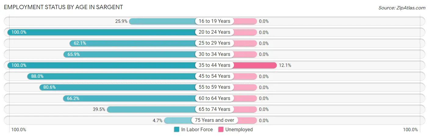 Employment Status by Age in Sargent