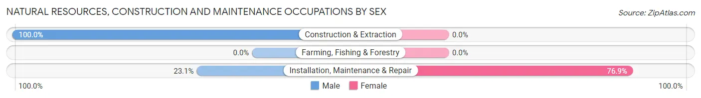 Natural Resources, Construction and Maintenance Occupations by Sex in Sargent