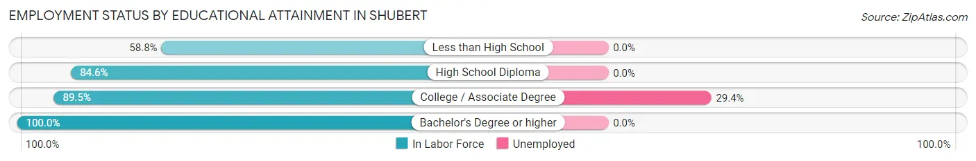 Employment Status by Educational Attainment in Shubert