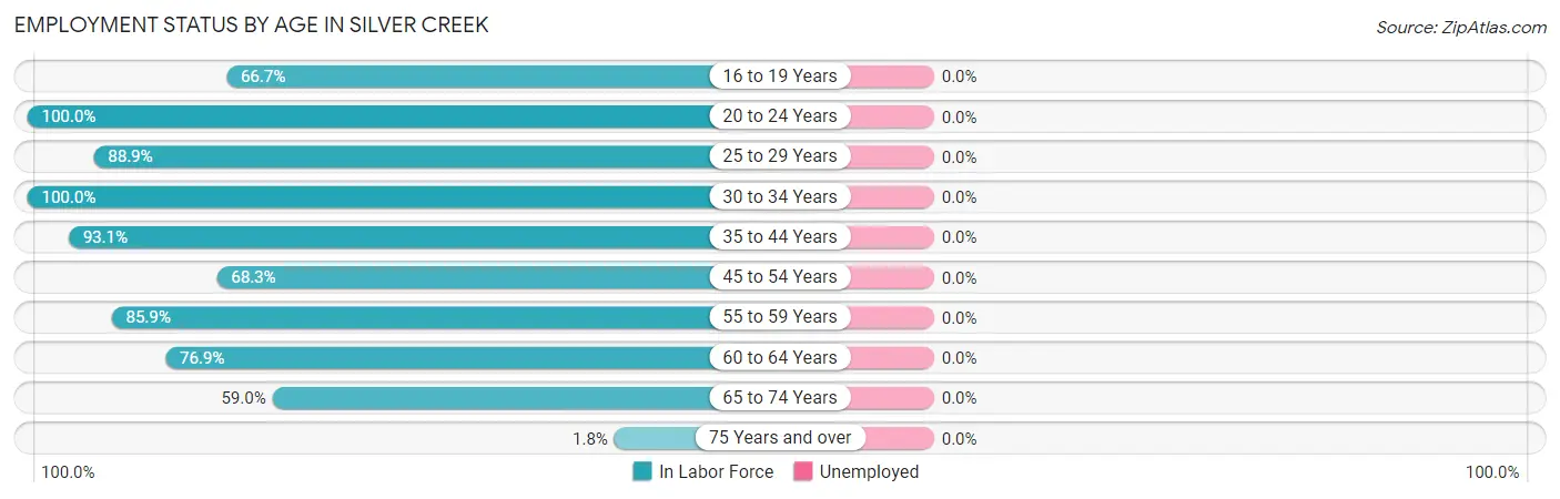 Employment Status by Age in Silver Creek