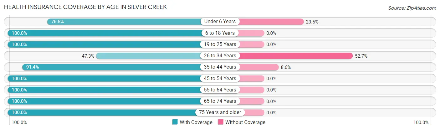 Health Insurance Coverage by Age in Silver Creek